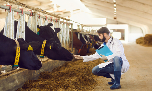 Cattle Health Monitoring Co.